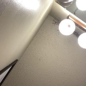 Meet your Posher, Payton